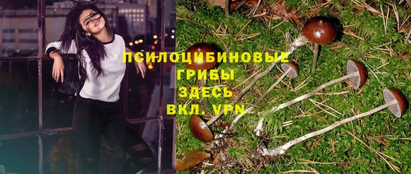 дживик Михайлов