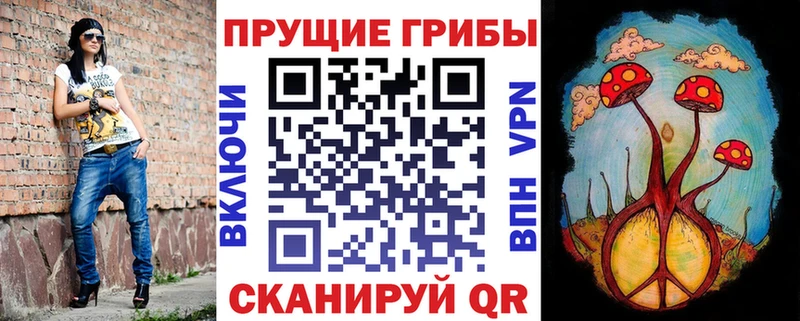 Галлюциногенные грибы Cubensis Омск