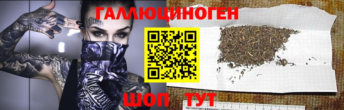 закладки  Вход с VPN  Омск  Псилоцибиновые грибы Magic Shrooms 